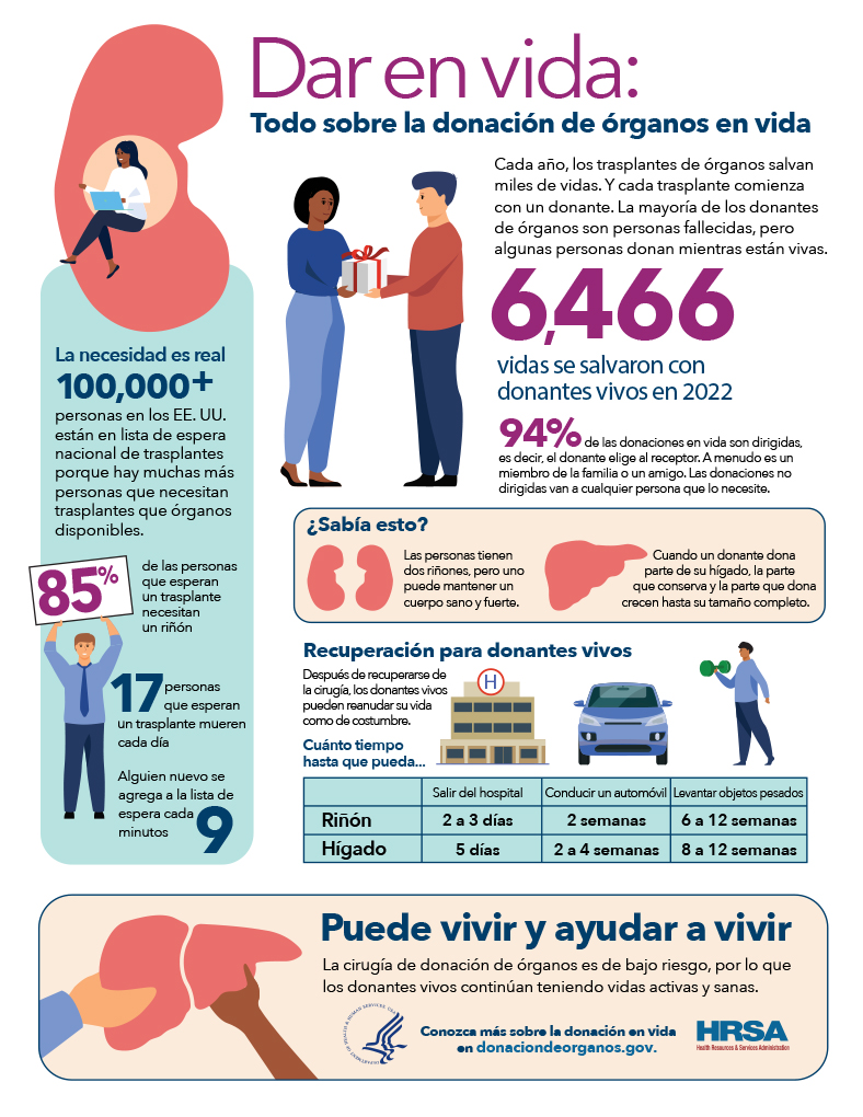 Dar en vida: Todo sobre la donación de órganos en vida