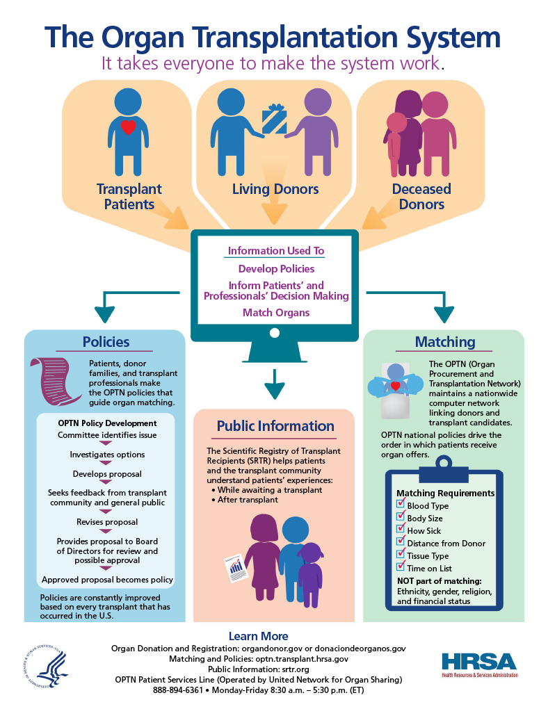 The Organ Transplantation System