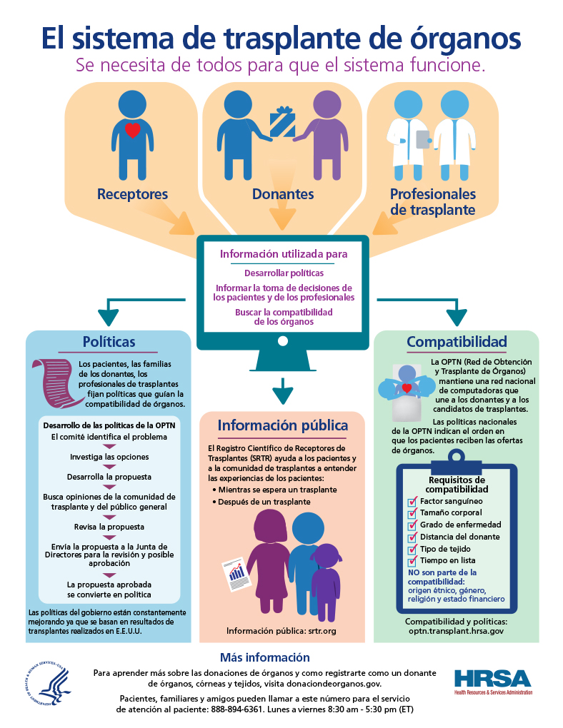 El sistema de trasplante de órganos